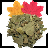 Ginkgo Leaves Pack